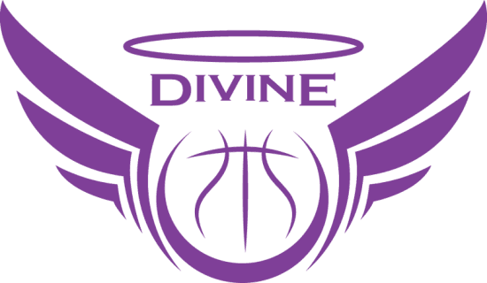 Divine VSE 1
